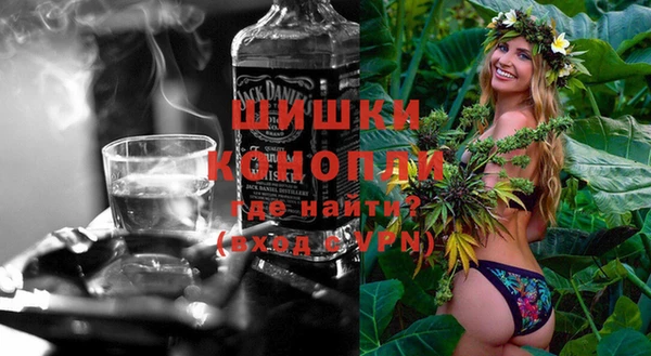 прущий лед Бородино