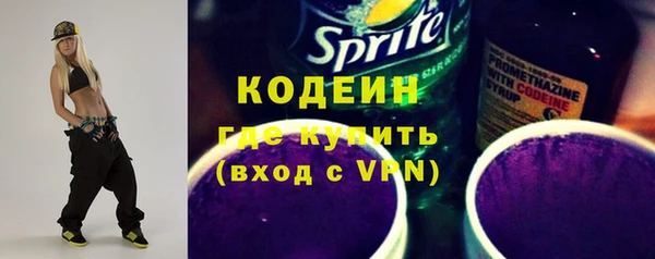 прущий лед Бородино