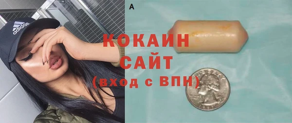 прущий лед Бородино