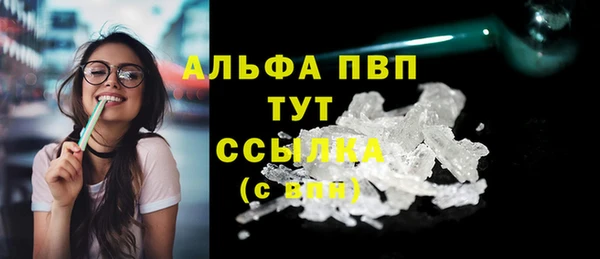прущий лед Бородино