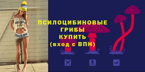 прущий лед Бородино