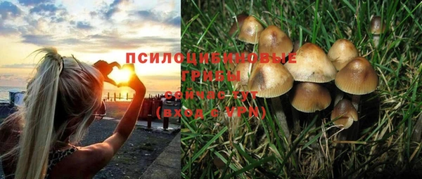 соль ск Бронницы