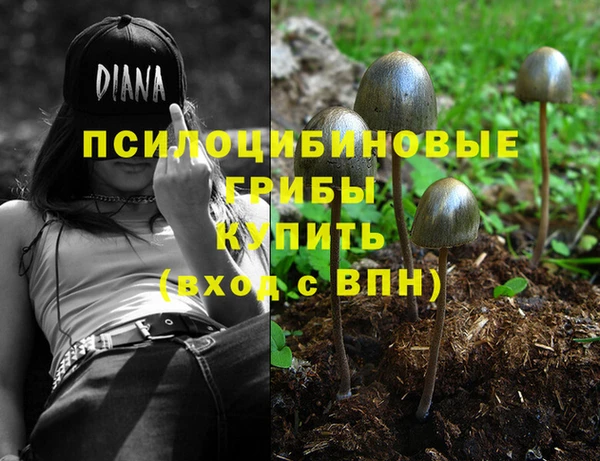 соль ск Бронницы