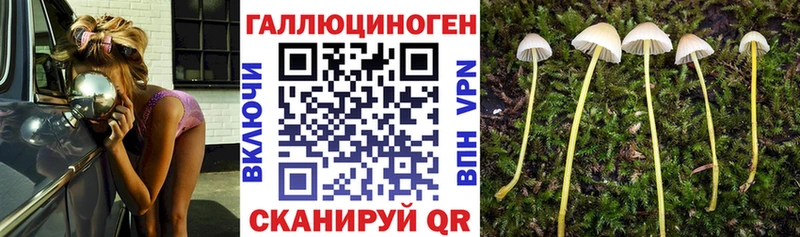 Галлюциногенные грибы ЛСД  гидра сайт  Новошахтинск  дарнет шоп 